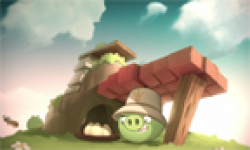 angry birds seasons rovio ios android summer pignic vignette head
