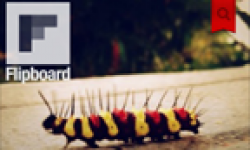 flipboard vignette head