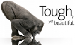 gorilla glass vignette head