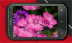 htc desire c vignette head