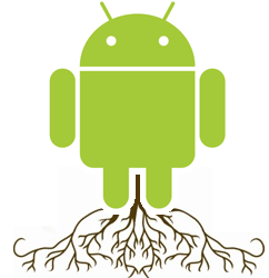 root image