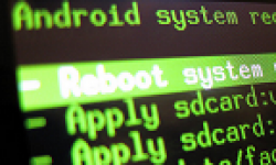 root root