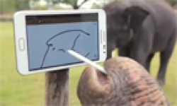 samsung galaxy note elephant trompe vignette head