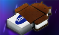 Samsung Ice Cream Sandwich vignette head