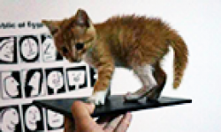 sony togari xperia zu chat vignette head