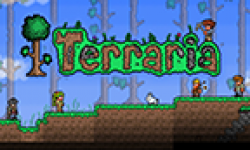 terraria vignette head
