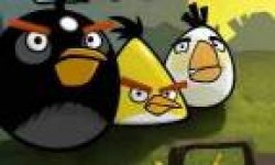 Vignette Icone Head Angry Birds 15102010