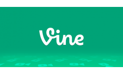 Vine